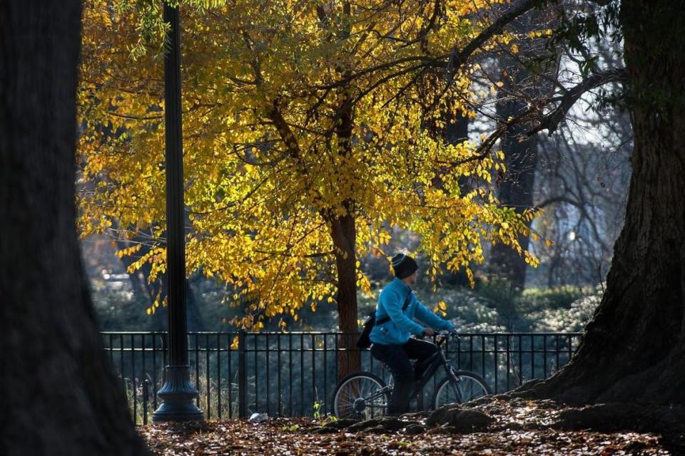 A cyclist rides past the pond in Sacramento’s Southside Park in December 2015. Randall Benton/rbenton@sacbee.com