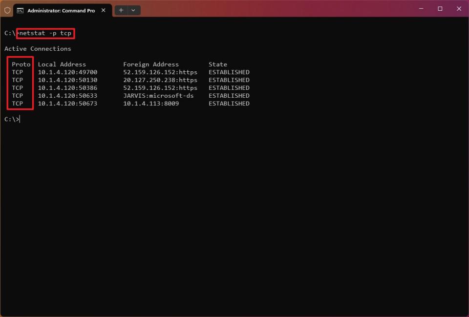 netstat -p tcp command