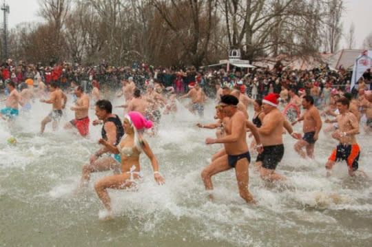 Polar Bear Dip in Szigliget, southwest of Budapest, Hungary