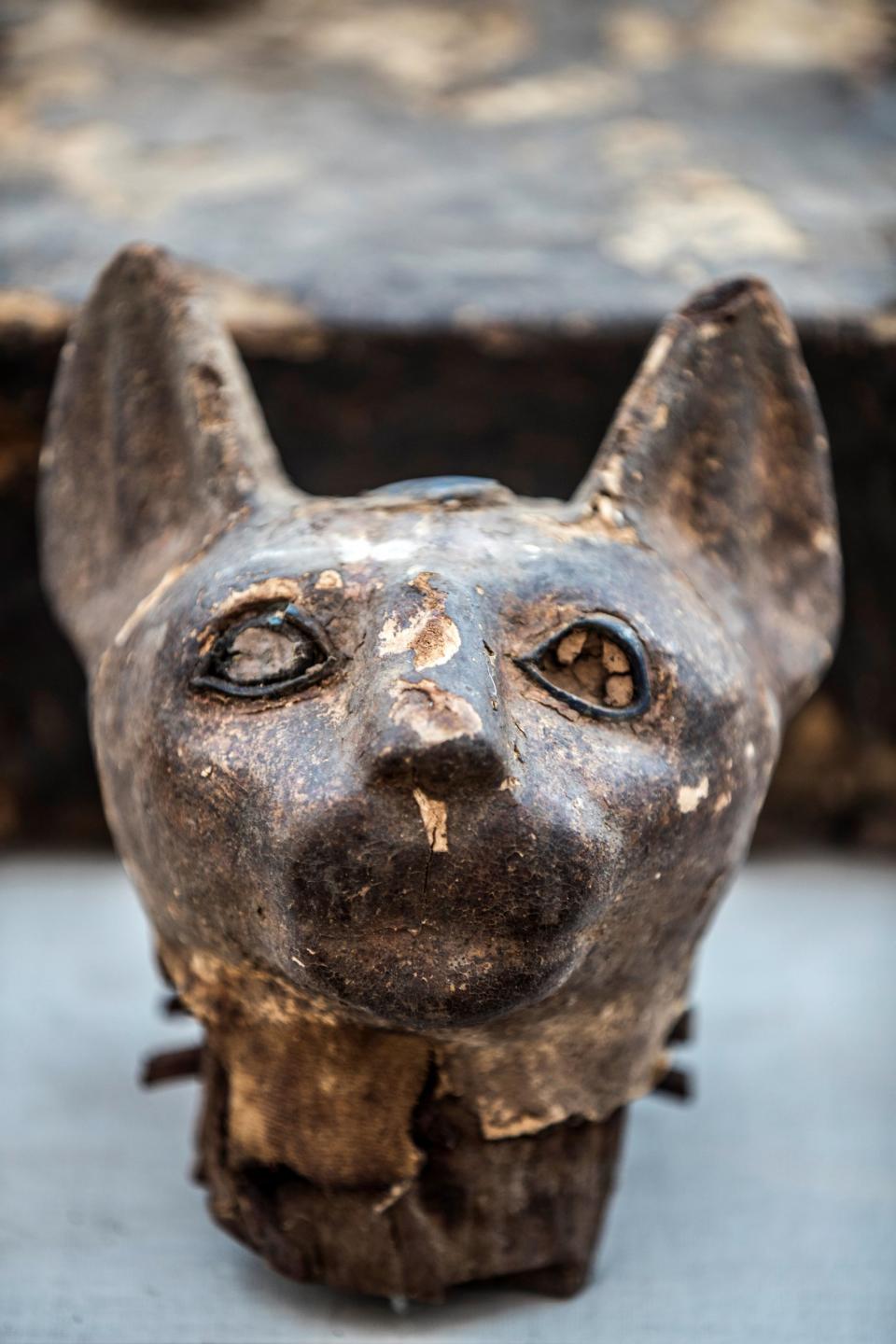 GettyImages 1184126829 mummy cat