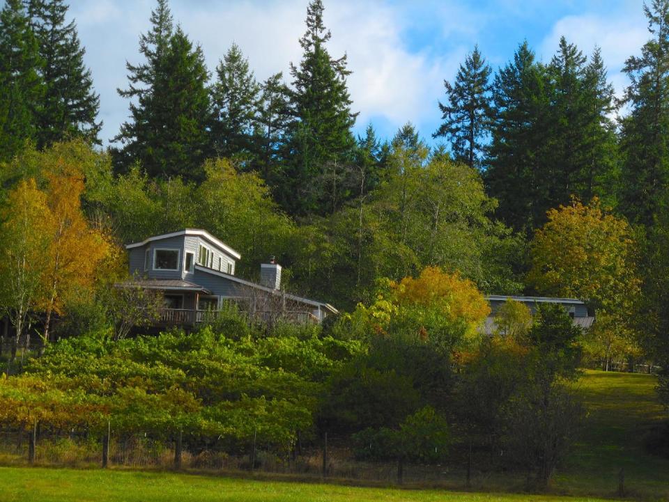 This undated photo provided by Tom Powers shows vines that do double duty by producing great-tasting wine grapes while enhancing the looks of the residential property near Martinez, Calif. The owner-designer placed the grapes in front of his house to help showcase the entry for visitors. Other vineyards include walking trails while some serve as entertainment centers with tables, chairs and outdoor kitchens. (AP Photo/Tom Powers, Tom Powers)