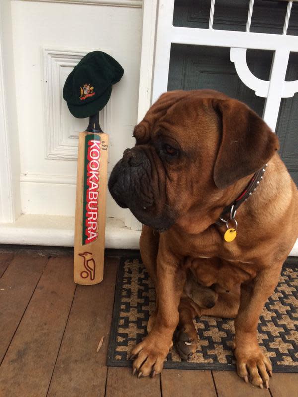 Dean Jones' 1989 Ashes bat.