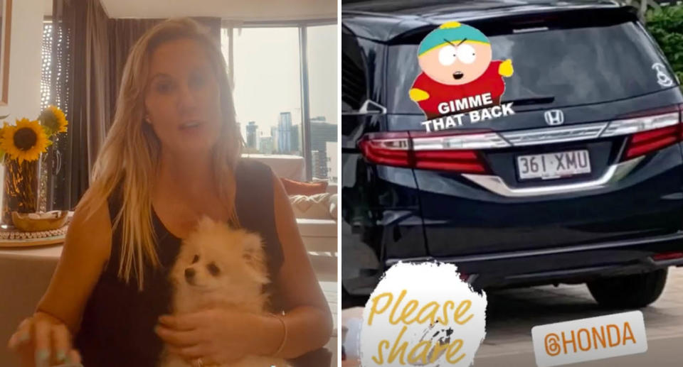 Queensland Paralympian and disability advocate, Karni Liddell, with her dog Willow on the left. And her stolen Honda Odyssey on the right.