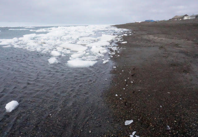 Alaska's Snow Crab Collapse Is Likely Tied to Climate Change - Bloomberg