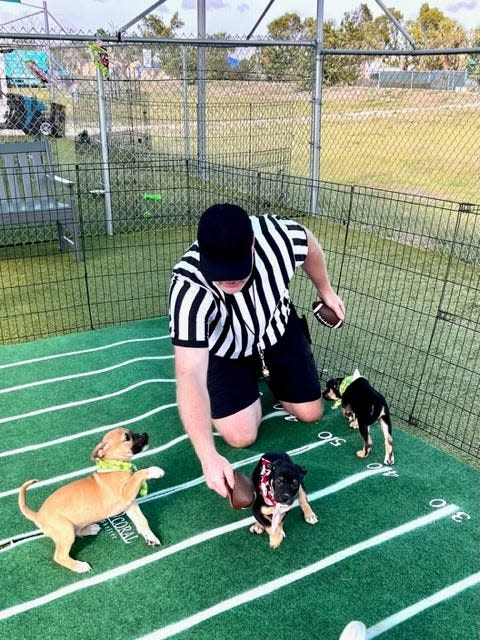 Cape Coral Animal Shelter is hosting a Puppy Bowl in advance of the Super Bowl.