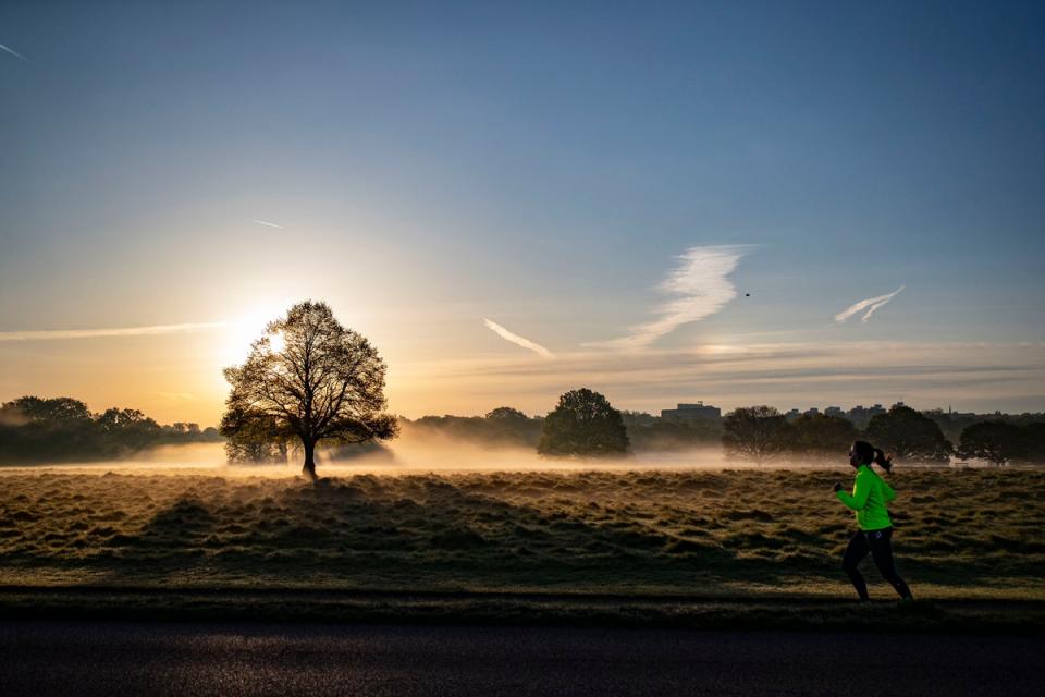 Richmond Park in the early morning sunlight on Thursday (Ben Whitley/PA Wire)