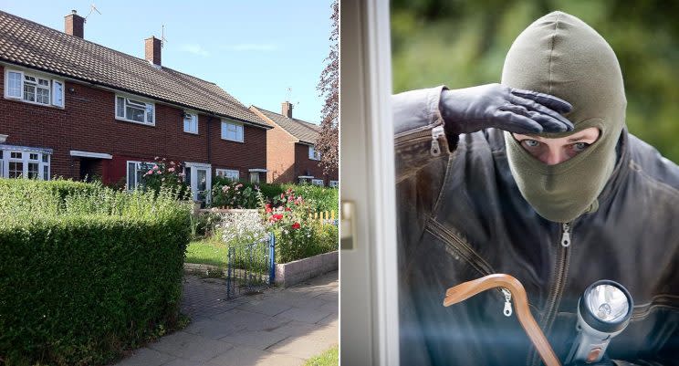 Prickly hedges can put burglars off, apparently