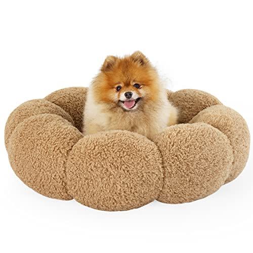 57 Delightful Gifts for Dog Lovers and Their Pets in 2022: Chewy