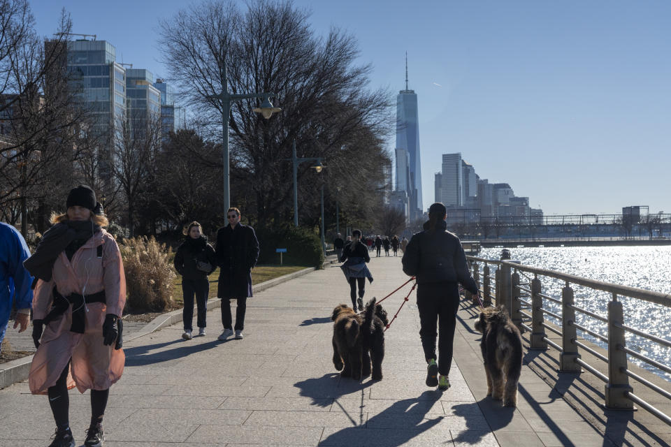 Bethany Lane, fundadora de Whistle & Wag, un servicio de paseos caninos, pasea perros por el parque del río Hudson en Nueva York, el 16 de enero de 2023. (Calla Kessler/The New York Times)
