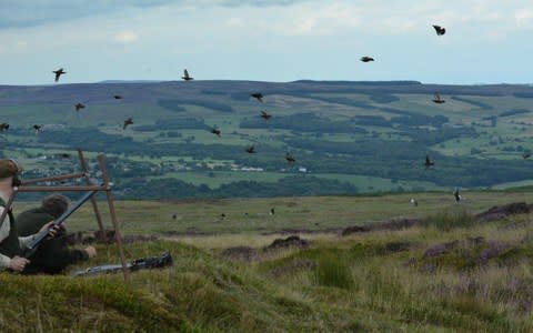 Grouse shooting on Ilkley Moor - Credit: Countryside Alliance