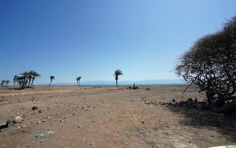 The area just before the shore used to be thick with palm trees, but now the trees are dead and the sea water encroaches ever nearer, salinating and blocking former water sources - Credit: Susan Schulman