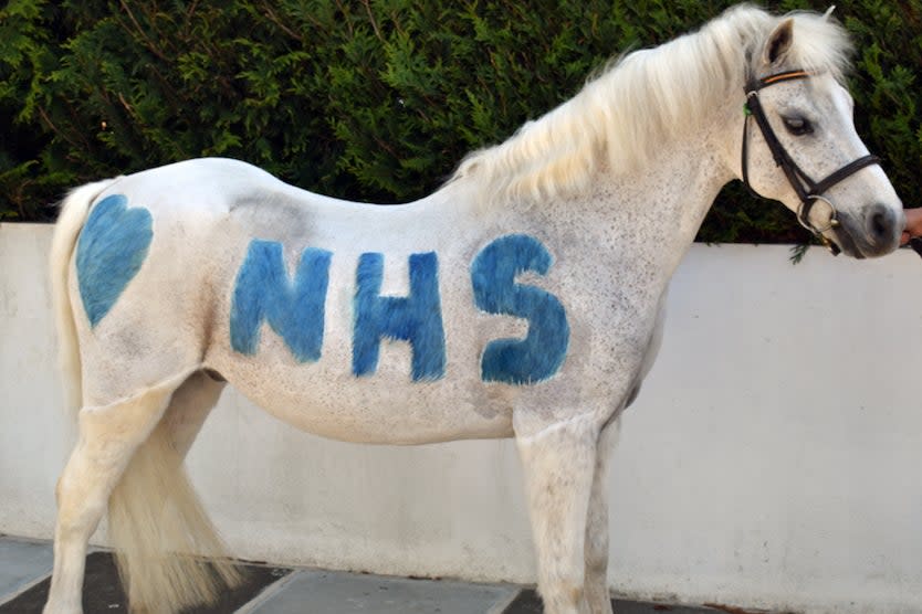 Park Lane Stables ran the “tiny pony at your window” initiative during lockdown to help combat loneliness (Park Lane Stables)