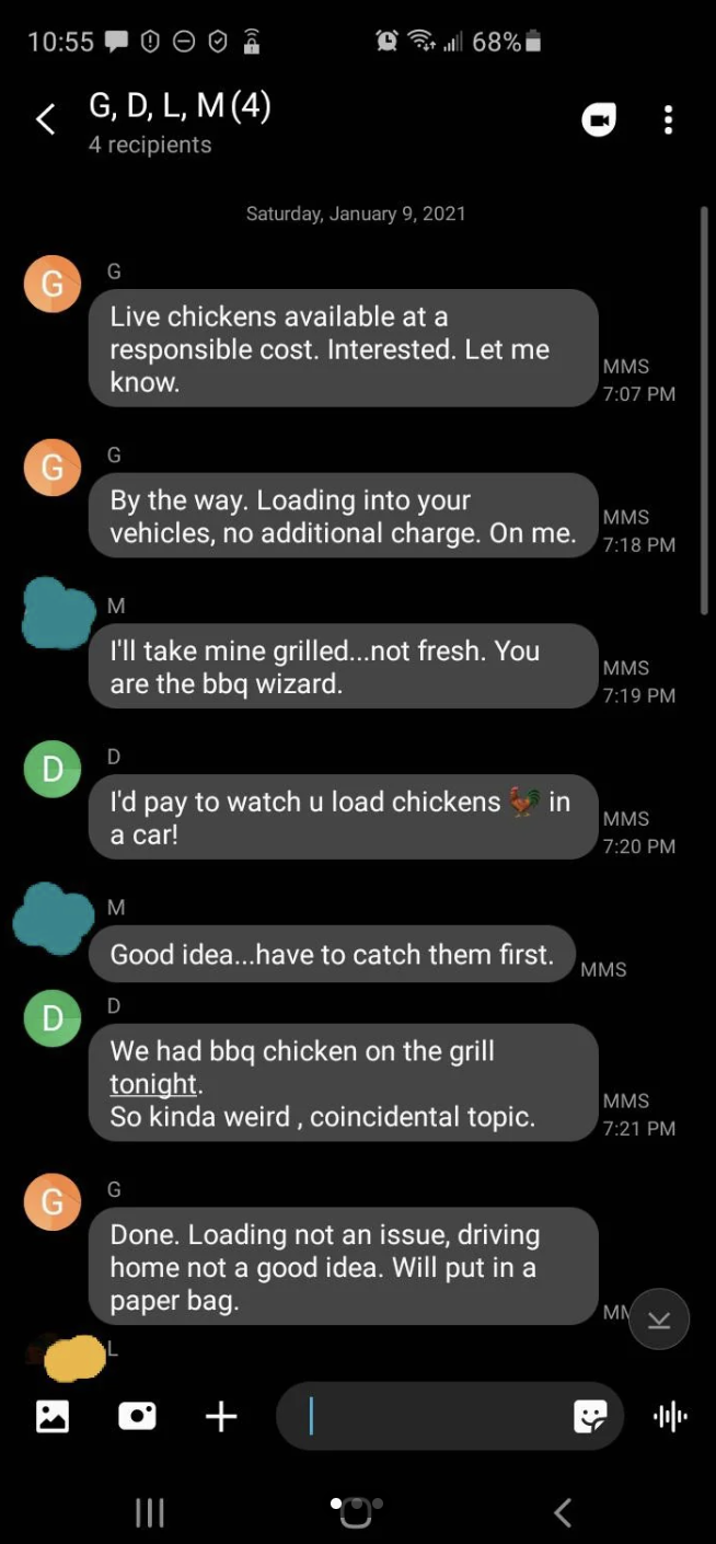 Family group chat about chickens