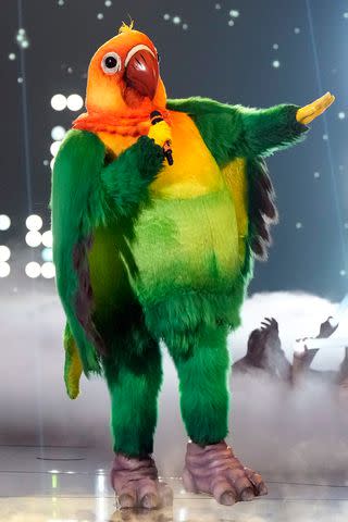 <p>Michael Becker / FOX</p> Colton Underwood performing as Lovebird on 'The Masked Singer' season 11