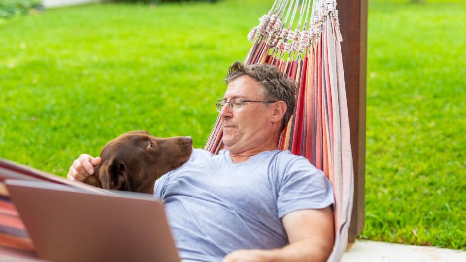 Dog watching man on computer