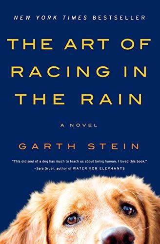 41) The Art of Racing in the Rain: A Novel