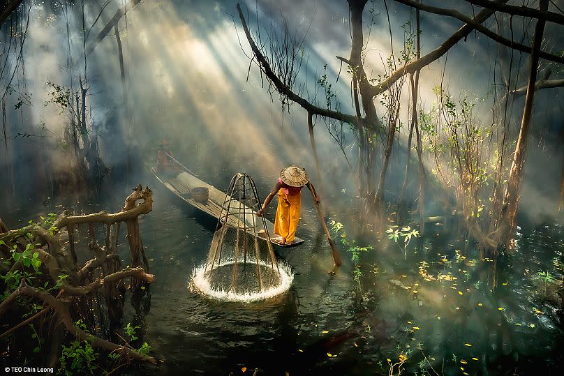 'Pescador de manglares', de Teo Chin Leong (Japón)