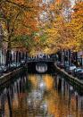 <p>Amsterdam is a mecca for art, culture, and fun. And while there are endless cultural excursions to enjoy, the fall is a beautiful time to get lost wandering up and down the streets along the canal. </p><p><a class="link " href="https://go.redirectingat.com?id=74968X1596630&url=https%3A%2F%2Fwww.tripadvisor.com%2FHotel_Review-g188590-d190667-Reviews-The_Dylan_Amsterdam-Amsterdam_North_Holland_Province.html&sref=https%3A%2F%2Fwww.womenshealthmag.com%2Flife%2Fg41359461%2Fbest-fall-foliage-places%2F" rel="nofollow noopener" target="_blank" data-ylk="slk:BOOK NOW;elm:context_link;itc:0;sec:content-canvas">BOOK NOW</a> <em><strong>The Dylan</strong></em></p>