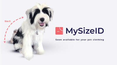 MySize to Launch AI-Pushed Sizing Resolution for  Billion Pet Clothes Market