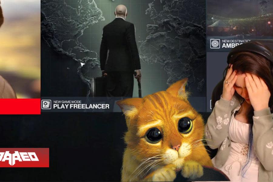 Streamer de TWITCH queda devastada después de que su gato borrara su progreso de Hitman 3 en vivo al pasar encima del teclado