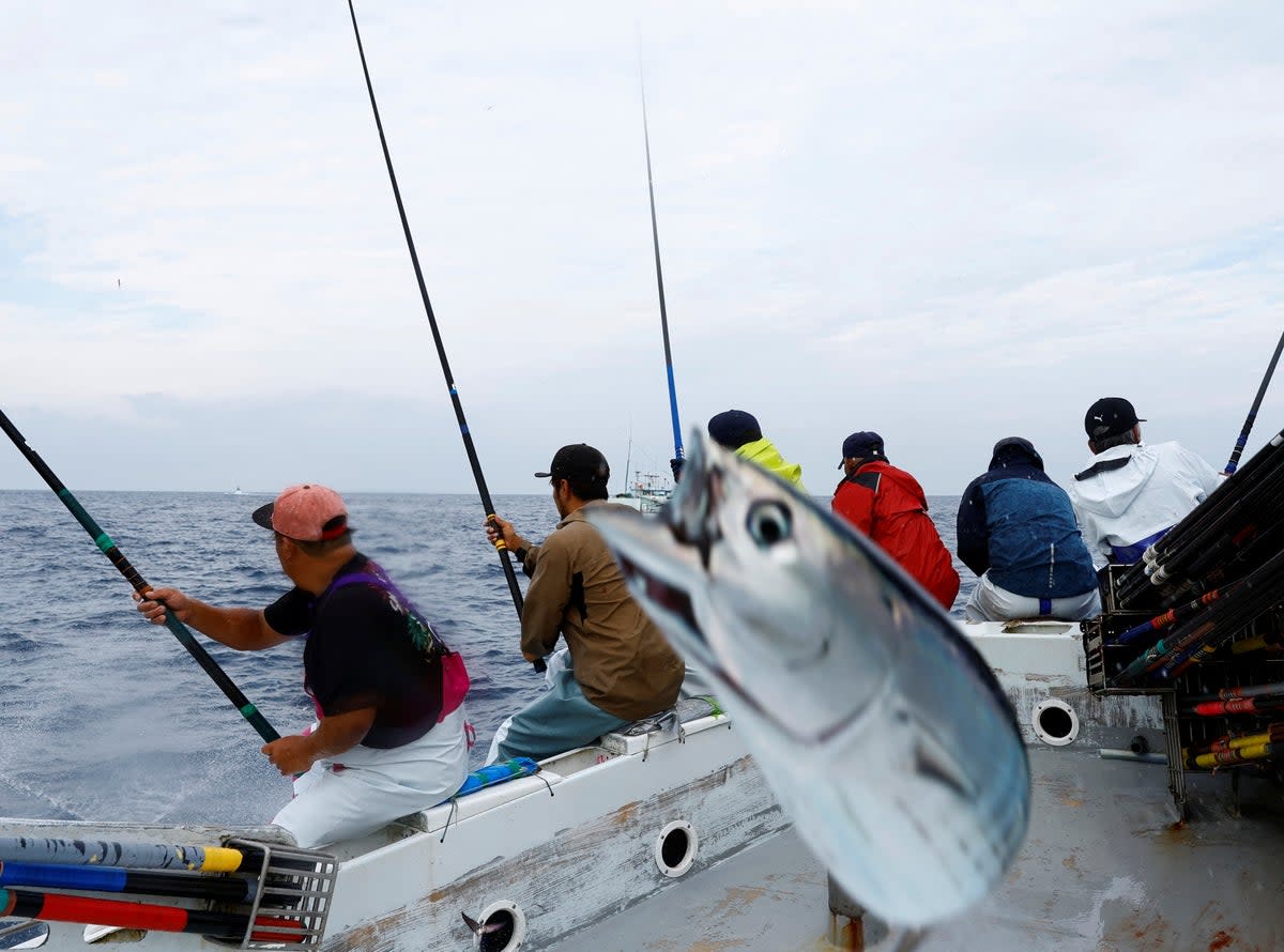 Crew members on the Nakajomaru katsuo fishing boat catch katsuo using traditional ipponzuri, in Tosa Bay, Japan (Reuters)