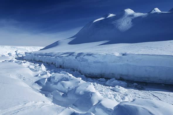 Mandatory Credit: Photo by Walter Huber/Mood Board/REX (1281187a) Antarctica, Weddell Sea, Riiser Larsen Ice Shelf Wildlife  