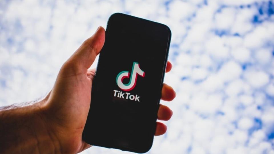 Privacidad en TikTok: ¿qué información recolecta de los usuarios? Foto: Kon Zografos - Pixabay