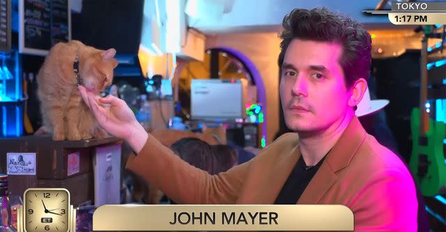 <p>CNN/Youtube</p> John Mayer pets a cat at the bar.