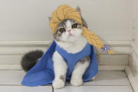 <p>Snoopy, a male, looks less than thrilled to be wearing an Elsa outfit from the Disney movie, <em>Frozen.</em>“People seem to love seeing the cats pose for the camera, and they leave heart-warming comments, which is great.” (Photo: DailySnoopy/Caters News) </p>