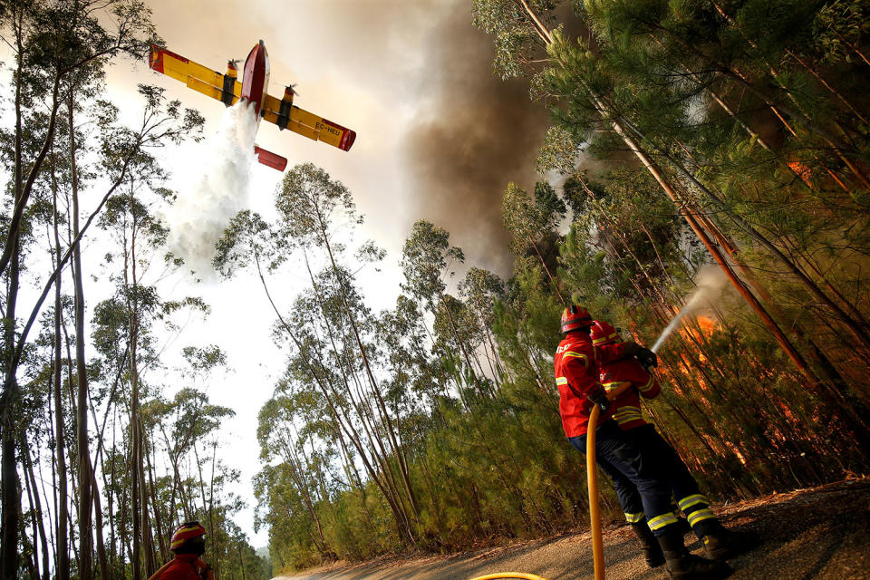 <p>Firefighters work to put out a forest fire next to the village of Macao, near Castelo Branco, Portugal, July 26, 2017. (Rafael Marchante/Reuters) </p>