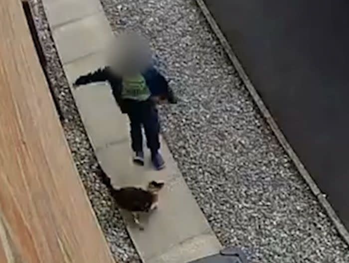 The little boy kicked and punched the cat named Sky multiple times outside of a UK home. Photo: Supplied