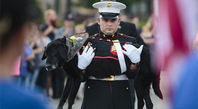 Lance Corporal Jeff DeYoung and Cena. Photo: AP