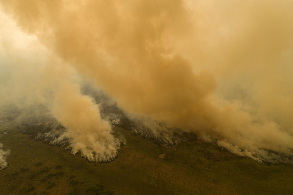 Fire consumes an area next to the Trans-Pantanal highway in the Pantanal wetlands near Pocone, Mato Grosso state, Brazil, Friday, Sept. 11, 2020. Diminished visibility from fires in the Pantanal and the neighboring Amazon forced President Jair Bolsonaro's plane to abandon a Sept. 18 landing attempt in the state of Mato Grosso. (AP Photo/Andre Penner)