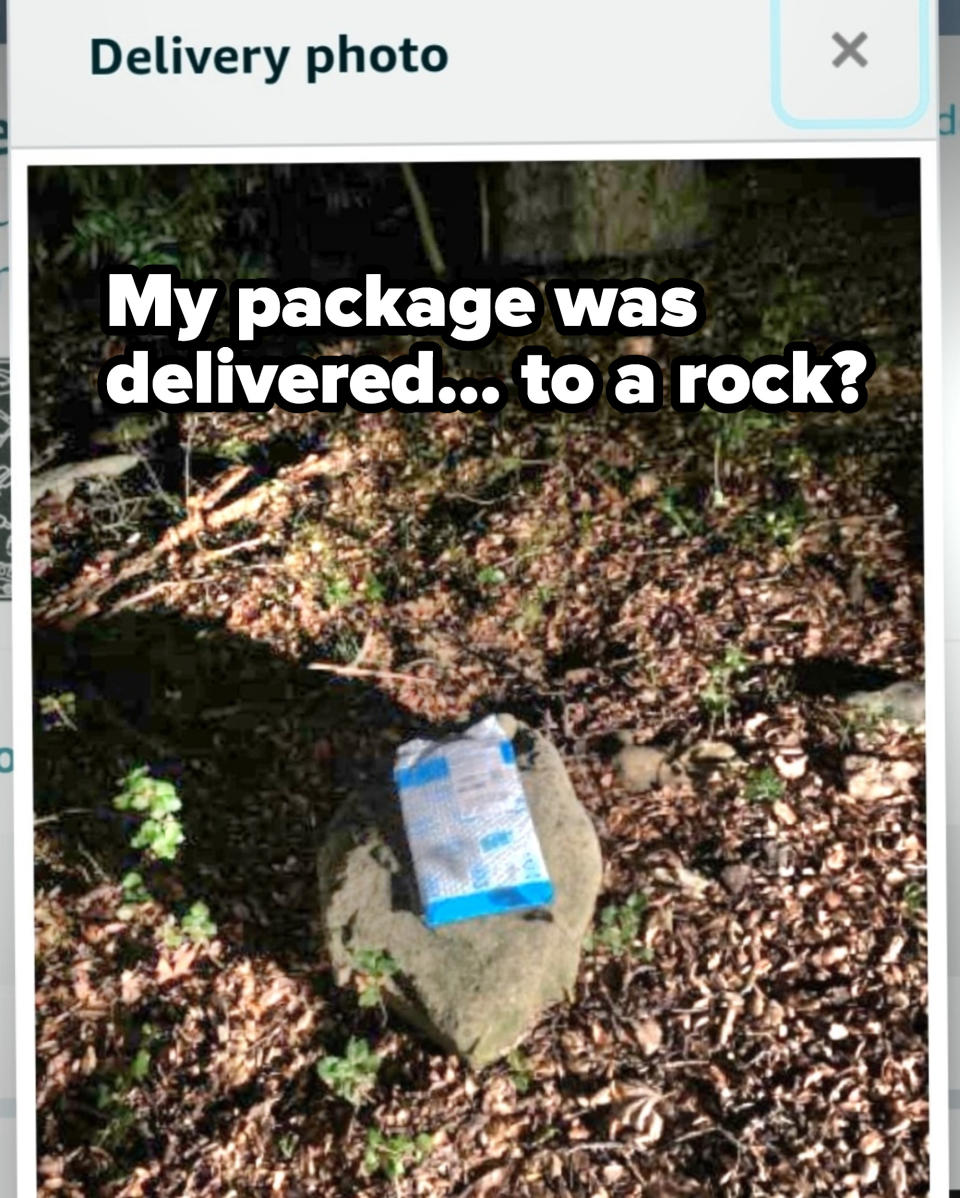 An Amazon package sitting on top of a rock in the forest