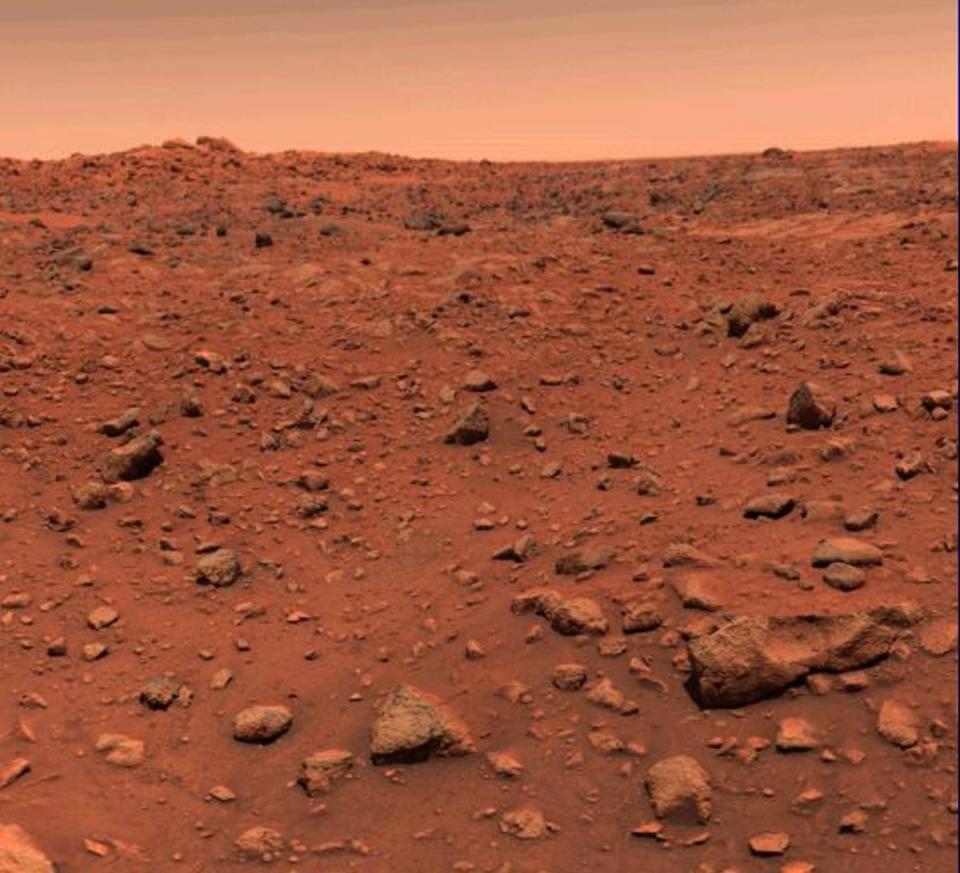 The surface of Mars as photographed by the Viking 1 lander. (Nasa)