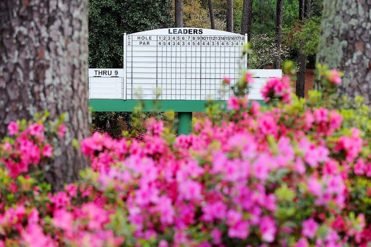 Azaleas in full bloom from 2016. (Getty Images)