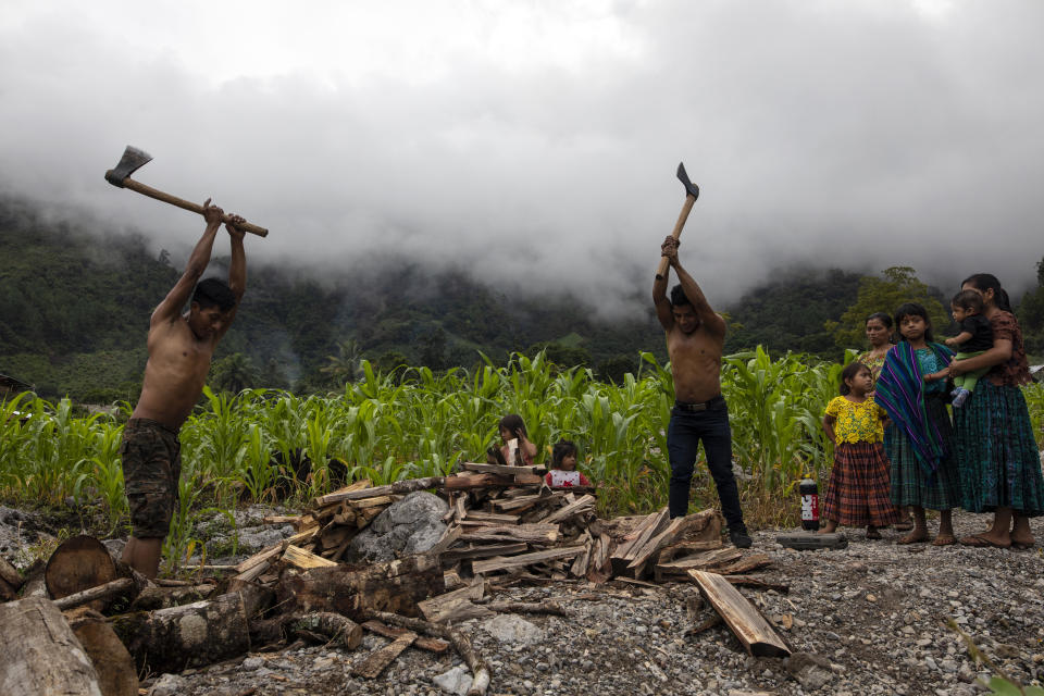 Eduardo Cal Chen, 23, left, and his 20-year-old brother Edgar, chop wood in the makeshift settlement Nuevo Queja, Guatemala, Sunday, July 11, 2021. The toil is constant, and back breaking. All day long, men, women and children cut and transport wood and clear land with their machetes in the makeshift settlement. (AP Photo/Rodrigo Abd)