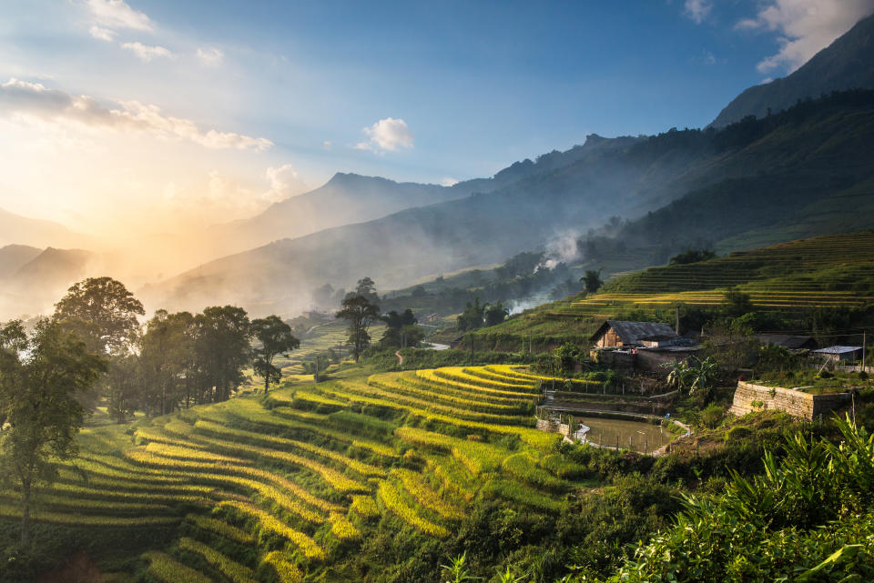 Dé un agradable paseo por los campos de arroz en terrazas en Sapa, Vietnam, en un día soleado