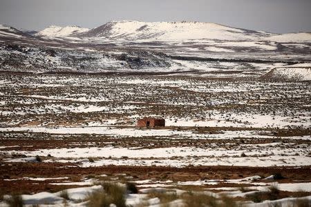 A house is pictured on the outskirts of Al Bayadh in the high steppe region of south western Algeria January 26, 2017. REUTERS/Zohra Bensemra