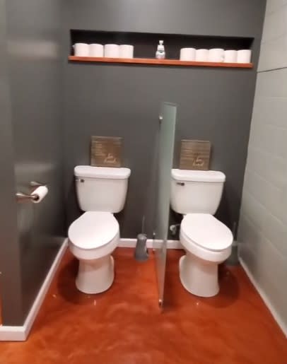 Doble toilet, ¿mitad de privacidad? (Tik Tok/riley.lh)