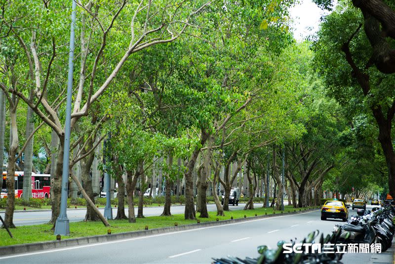 有網友認為仁愛路道路規劃不良，為何老房子的房價仍居高不下。（示意圖／資料照）