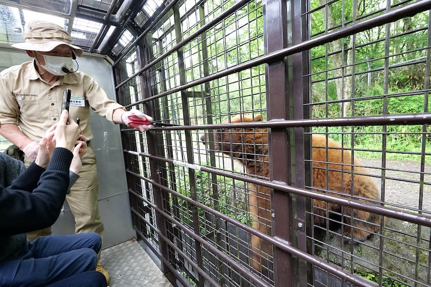 日本富士野生動物園Fuji Safari Park