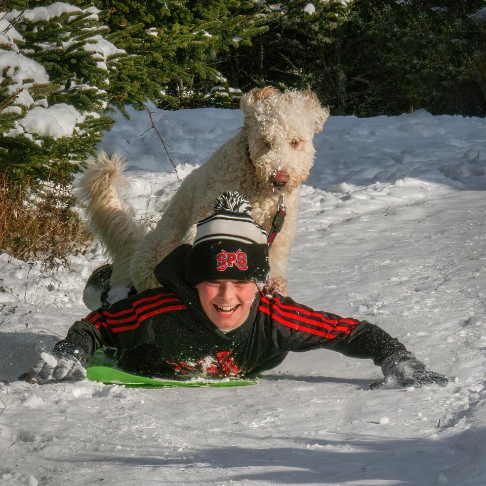 A boy sleds in the snow with a dog on his back