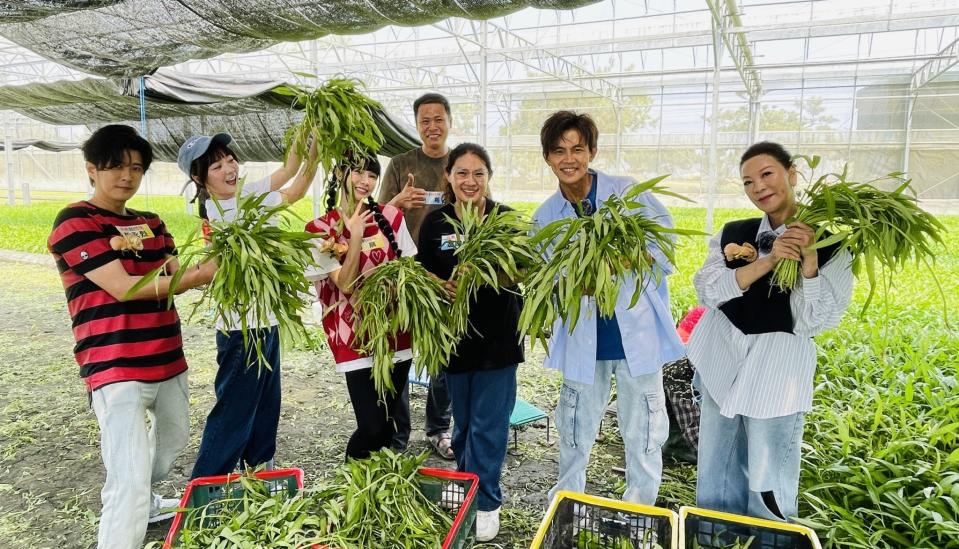 《綜藝新時代》體驗空心菜種植 （圖／民視）