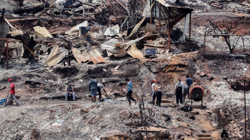 Wieder wüten Waldbrände in Chile. (Bild: dpa)