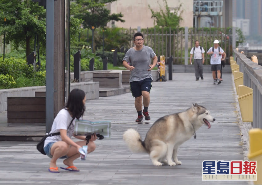 康文署明起再開放油尖旺及屯門區3個寵物共享公園。資料圖片