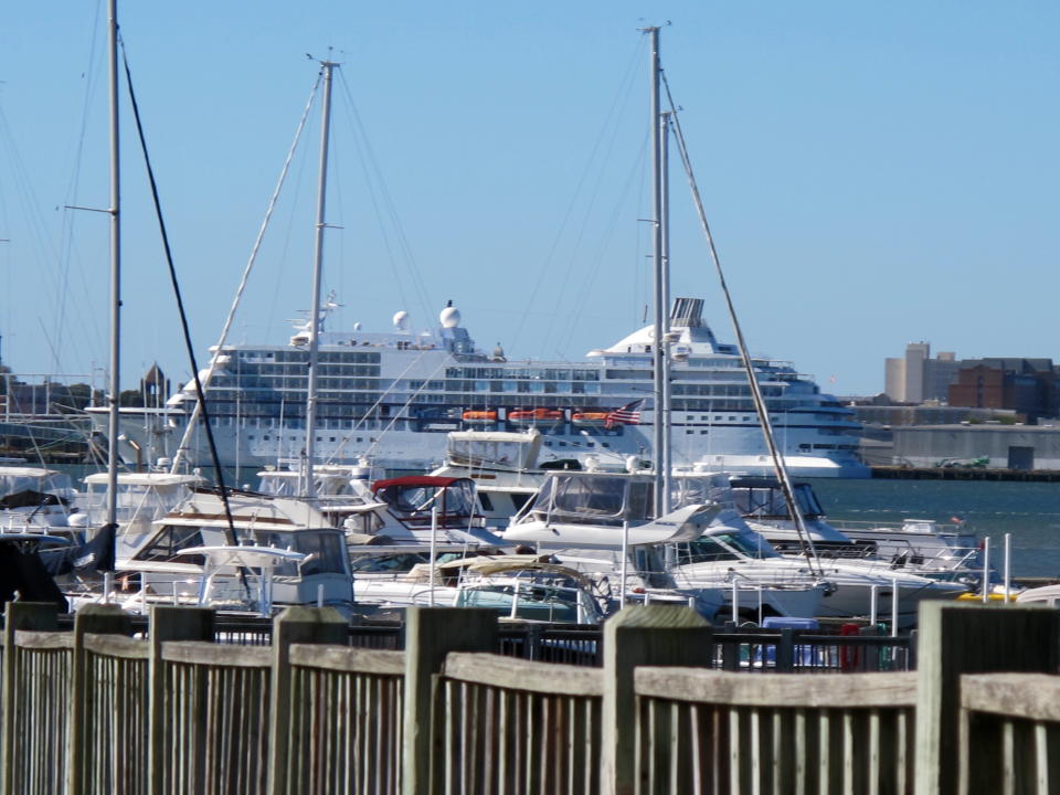 The Regent Seven Seas Navigator cruise ship calling in Charleston, S.C., can be seen from a marina in Mount Pleasant, S.C., on Monday, Nov. 4, 2013. A local group, Charleston Communities for Cruise Control, is forming a coalition with similar groups in Venice, Italy, and Key West, Fla., to push for tighter regulations on the cruise ship industry in small historic ports worldwide. The controversy over the cruise industry in Charleston has led to law suits in state and federal court as well as a challenge in South Carolina Administrative Law Court. (AP Photo/Bruce Smith)