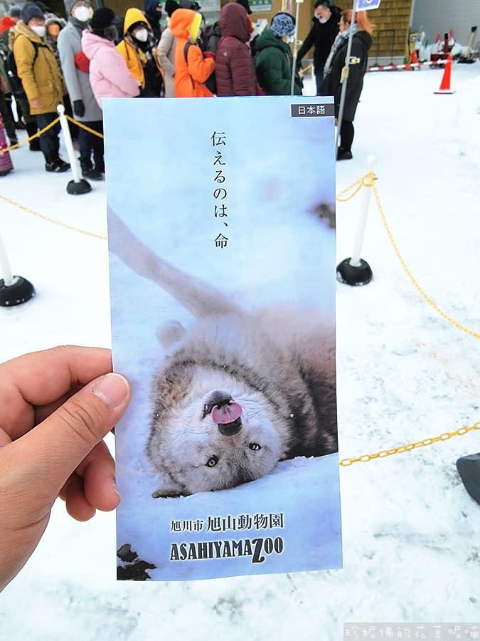 日本北海道｜旭川動物園、拉麵村、札幌大通公園、狸小路