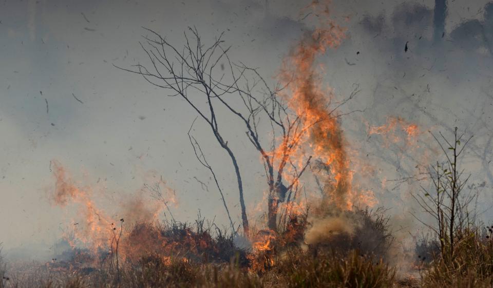 The Amazon has been burning for weeks. Scammers see the fires as an opportunity. (Photo: ASSOCIATED PRESS)