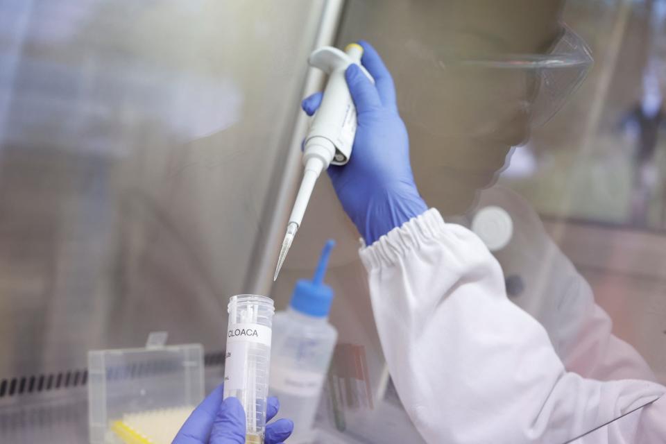 blue gloved hands in a white lab coat hold a large syringe and a lab tube of fluid